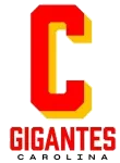 Gigantes de Carolina