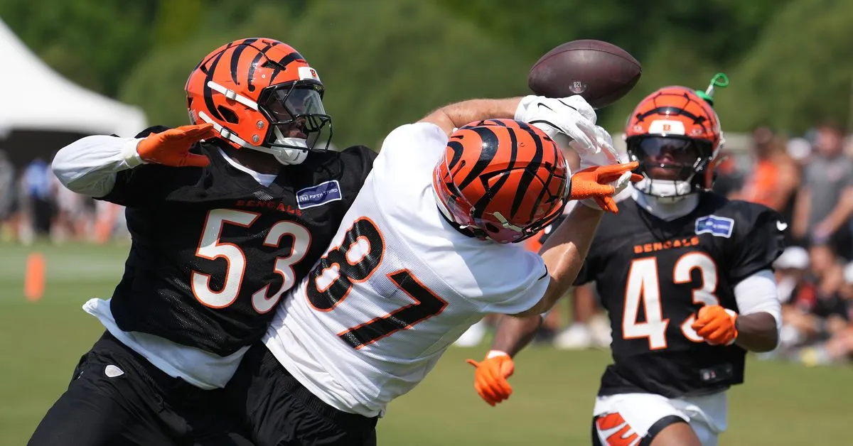 Pertarungan Kamp Pelatihan Terbesar Cincinnati Bengals